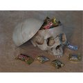 Perfectpretend Skull Candy dish PE1413037